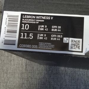 Lebron Witness V mens size 10